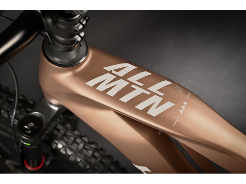 Horský elektrobicykel Haibike AllMtn CF 8