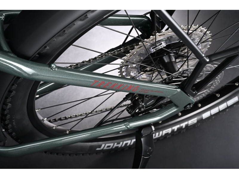 Trekový elektrobicykel Haibike Trekking 5 – Low