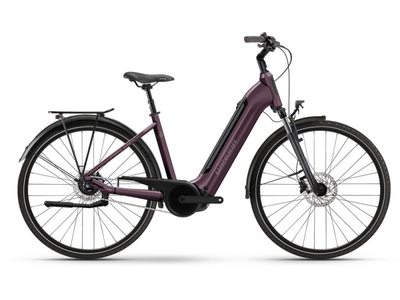Mestské elektrobicykel Winora Tria N5