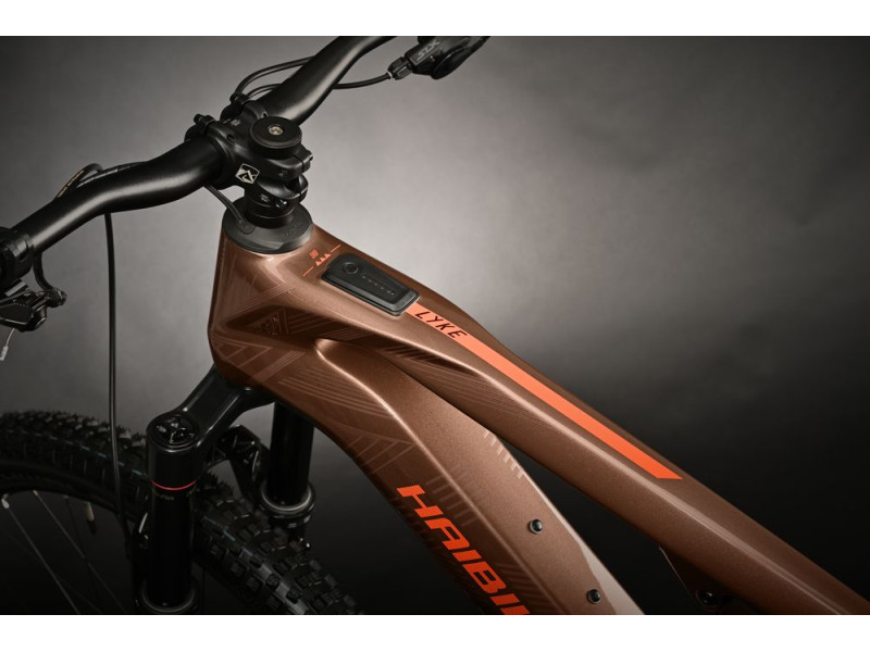 Horský elektrobicykel Haibike LYKE CF 10