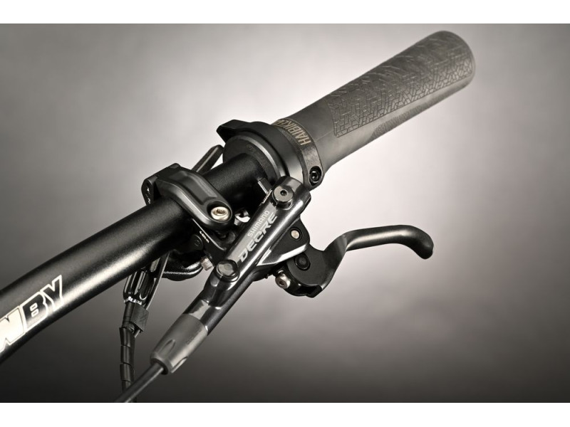 Horský elektrobicykel Haibike LYKE CF 10