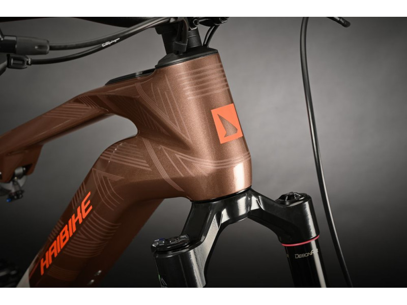 Horský elektrobicykel Haibike LYKE CF 10