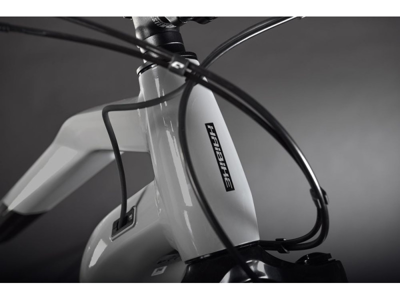 Horský elektrobicykel Haibike HardSeven 9