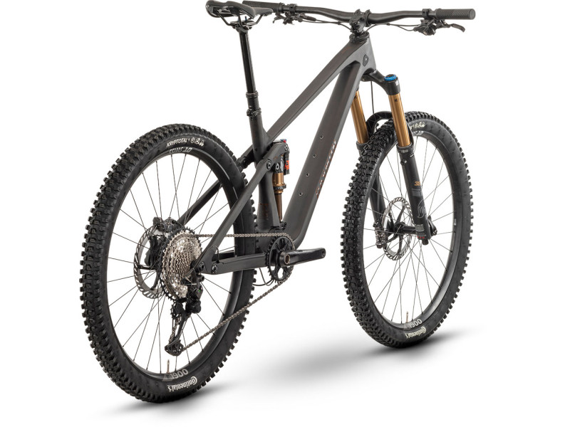 Horský bicykel Raymon Rokua 170 Ultra