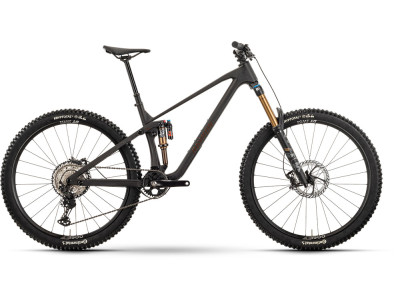 Horský bicykel Raymon Rokua 170 Ultra