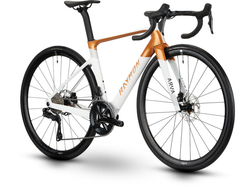 Cestný bicykel Raymon Arva Comp