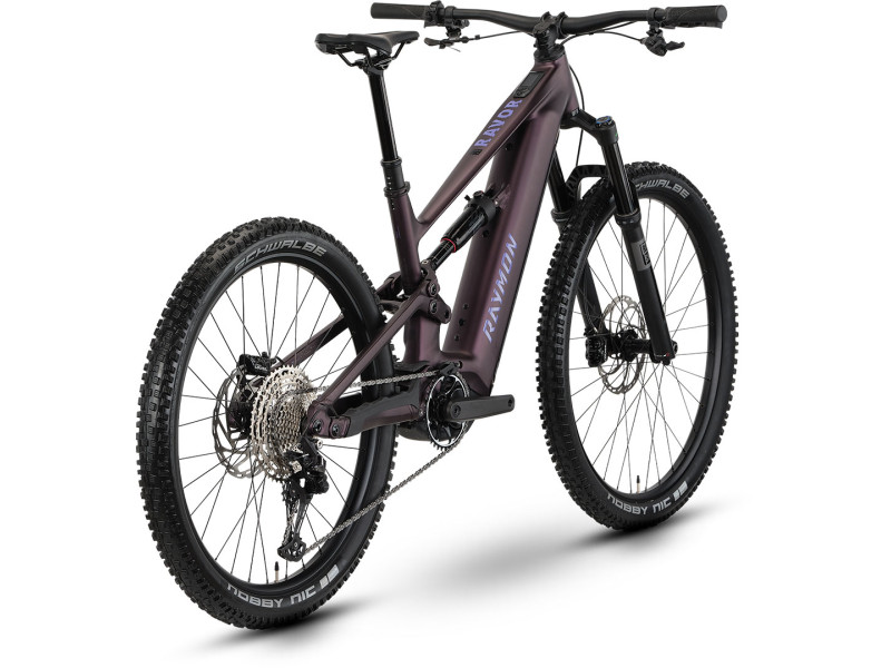 Horský elektrobicykel Raymon Ravor Comp