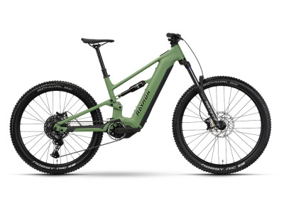 Horský elektrobicykel Raymon Ravor Pure