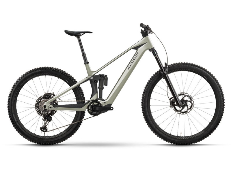Horský elektrobicykel Raymon Tarok Pro | 2027, titan silver, L