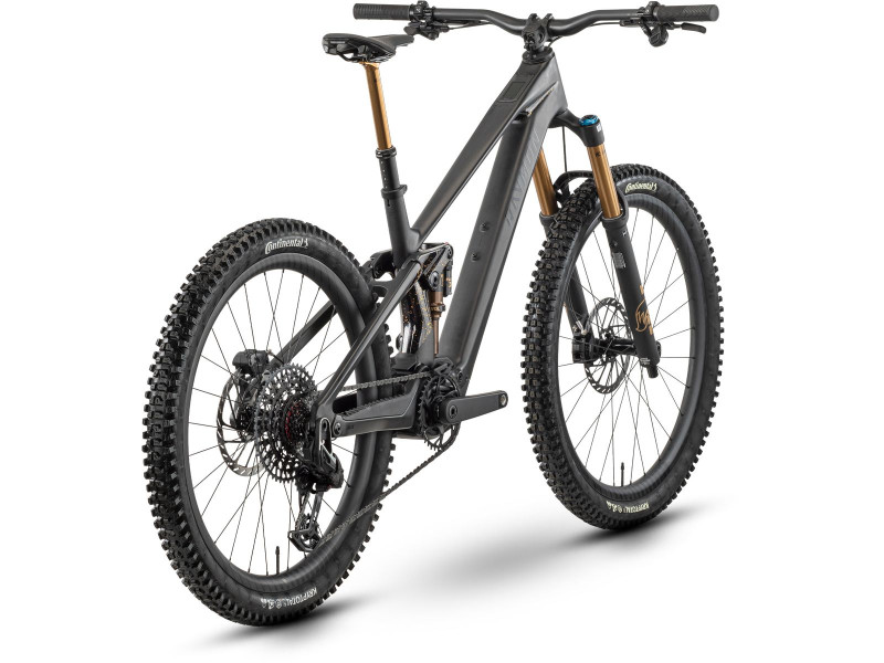 Horský elektrobicykel Raymon Tarok Ultimate | 2027, carbon stealth, S