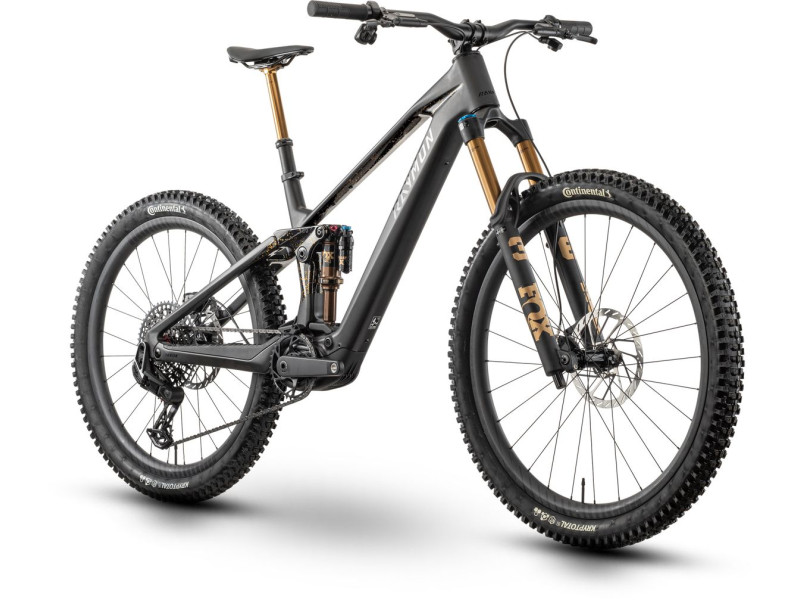 Horský elektrobicykel Raymon Tarok Ultimate | 2027, carbon stealth, S