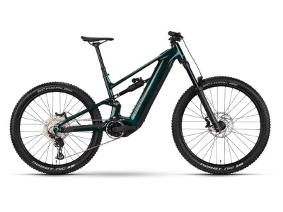Horský elektrobicykel Raymon Ravor LT Comp