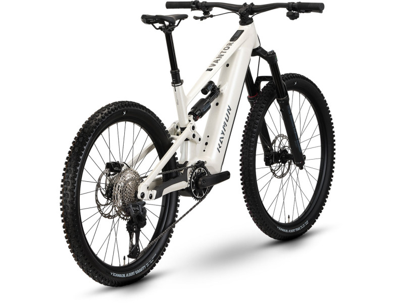 Horský elektrobicykel Raymon Ravor LT Pro