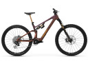 Amber Brown
