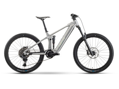 Horský elektrobicykel Raymon Durok Pro | raw alloy