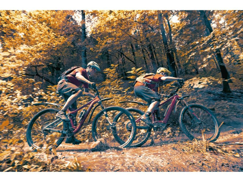 Zadný blatník SKS Germany X-Blade Dark 29"