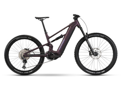 Horský elektrobicykel Raymon Ravor Comp | floridplum